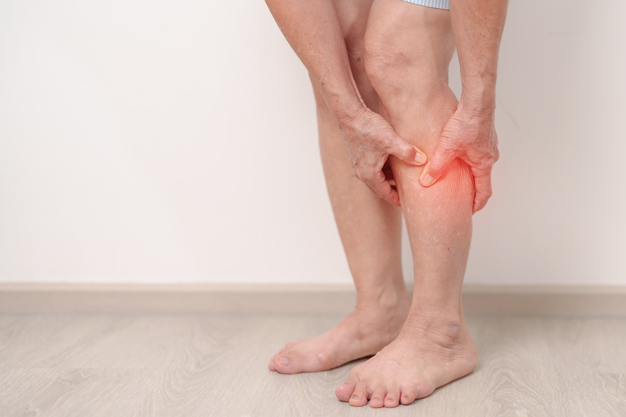 Elderly woman having Calf pain for concepts of Calf Muscle Strain, muscle pull, Leg Cramp, Sprain, aches, Varicose Veins, Deep Vein, world Thrombosis day, Senior Health care and medical treatment